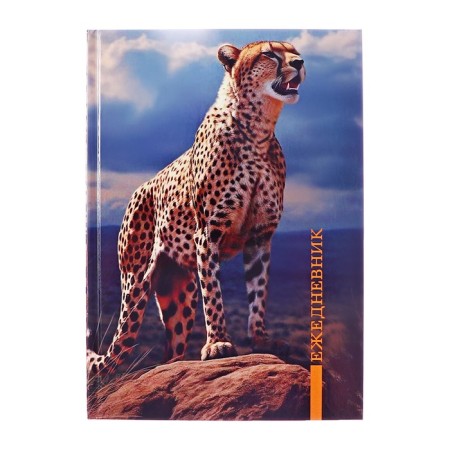 Diary Lowed on a stitch, A5, 80 sheets, cardboard 7BC, glossy lamination "Cheetah"