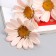 Artificial flowers "Arctothis" D-3.5 cm 35 cm, pink