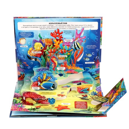 3D Encyclopedia Panoramka "Sea"-2