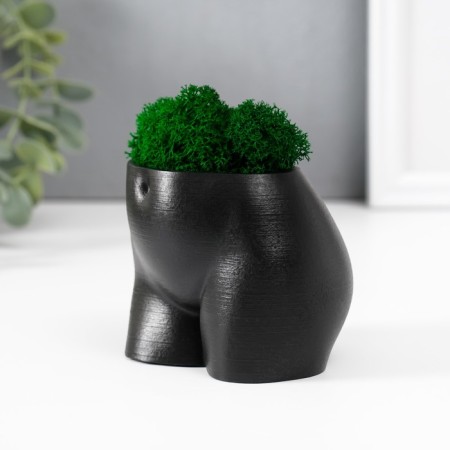 Kashpo concrete "innocent species" height 6.5cm, width 8.5 cm black with moss-1