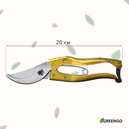 Planning Securiate Securitor, 8 "(20 cm), with metal pens, mix, Greengo-8