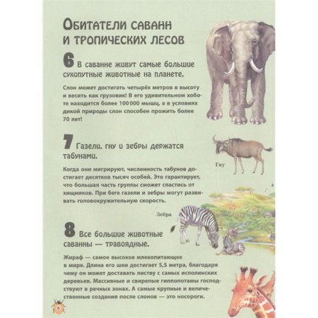 Animals, Nico Dominges, Estel Talaver-4