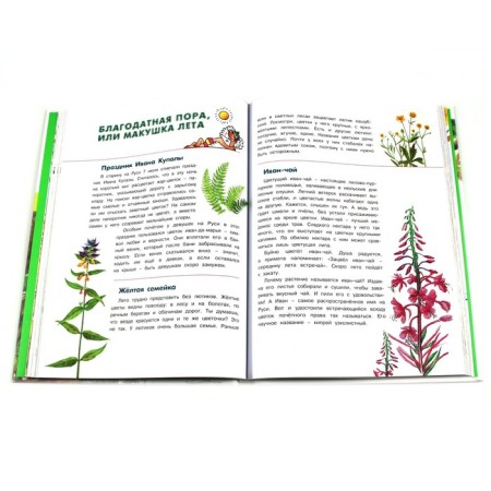 Big forest encyclopedia. We get acquainted with the nature of Russia. Tikhonov A.-2