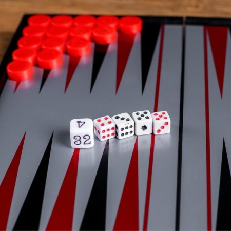 Magnetic backgammon, field 20 × 20 cm, in box-3