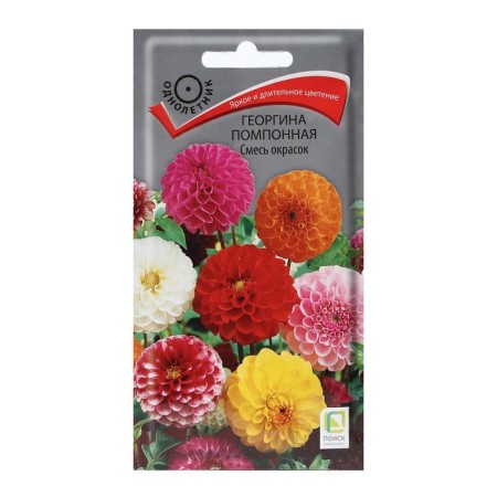 Georgin flowers "Pomponal mixture of colors" 0.3 g