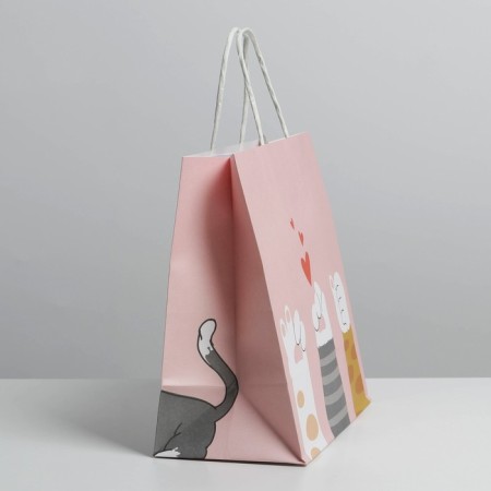 Gift package, packaging, Kisa, 22 x 22 x 11 cm-2