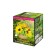 Set for the creativity of topiary "Sunflowers in the basket", 8+