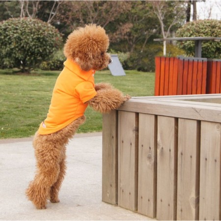 Animal T-shirt for animals, L (DS 35, OG 45, Osh 30 cm), orange-1