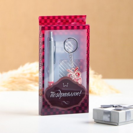 Gift set 2V1 (pen, Owl keychain) mix