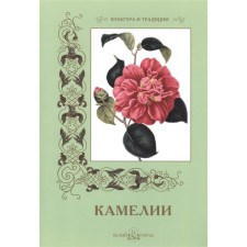 Camellia. Pantileeva A.