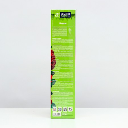 Jakuza rose seedling, 1 pc, spring 2024-2