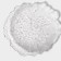 Glass supply dish "Rifaltaro", D = 25 cm, 25 × 4 cm