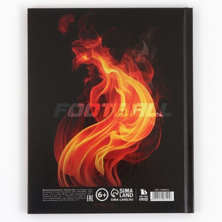 School Diary 1-4 class, in a solid cover, 48 liters "September 1: football"-9