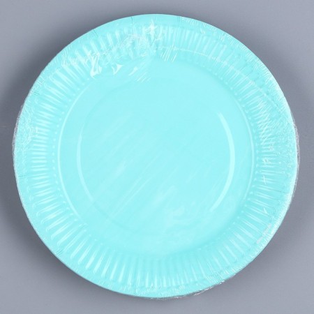 Disposable dishes: paper plate "mint", plain, 18 cm-5