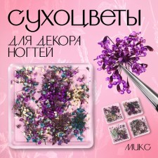 Сухоцветы для декора ногтей, 4 вида, в футляре, разноцветные
