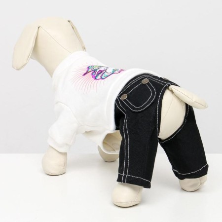 Summarian "Unicorn", size 16 (ds 36 cm, og 46 cm, Osh 35 cm), white-blue-3