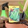 Seeds of vegetable beans "Sax without fiber 615", Early Nesplay, 5 g