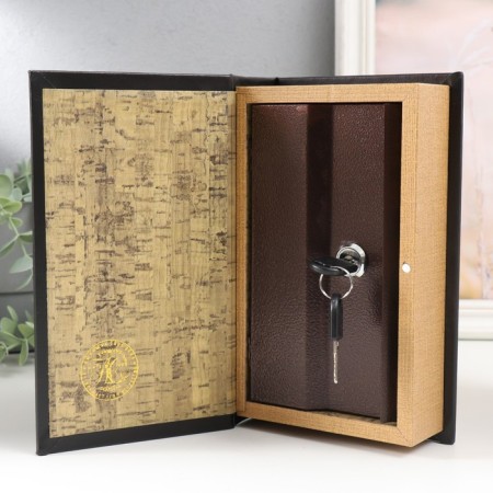 Safe Brush Tree leatherette "Theodore Dreiser. Financier" 21x13x5 cm-2