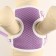 A set of ammunition with a soft harness, s, leash 120 x 1 cm, Osh 20-35 cm, og 20-35 cm, lilac 71490