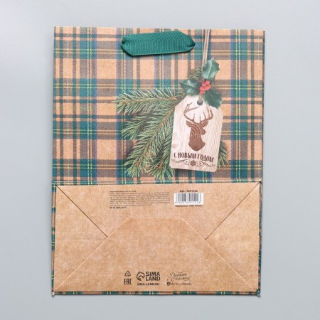 Craft vertical package "For Man", MS 18 x 23 x 10 cm, New Year-6