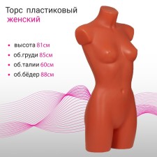 Feminine torso, 85 × 60 × 88 cm, bodily color