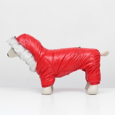 Kombinson "Gloss", size M (DS 30, OG 40, Osh 30 cm, up to 8 kg), red-3