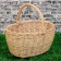 Basket "Berry basket", bottom: 24x16 cm, top: 28x23 cm, h = 14/27 cm, vine