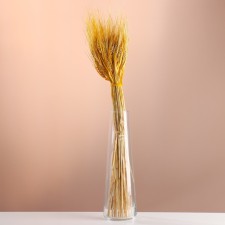 Set of dried flowers 