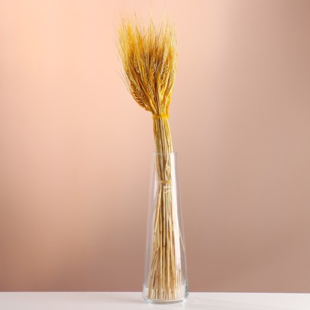 Set of dried flowers "rye", banch 35-40 pcs, length 55-65 (+/- 6 cm), yellow