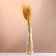Set of dried flowers "rye", banch 35-40 pcs, length 55-65 (+/- 6 cm), yellow