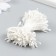 Stamens for flowers "white" set 360 pcs length 6 cm