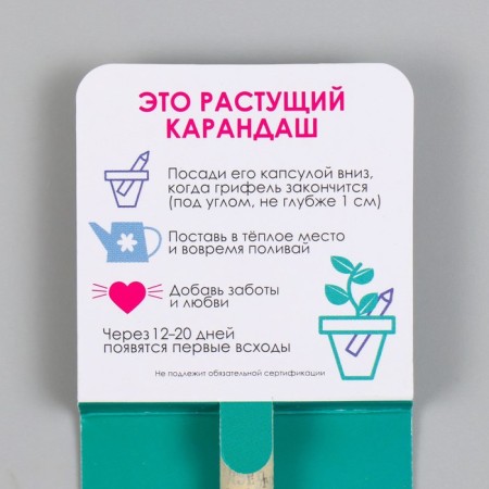 Growing gift pencils Mini "Pine"-2