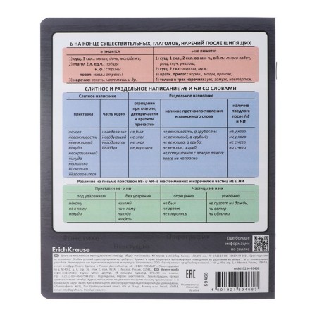 Subject notebook, 48 sheets, ruler, Russian Erichkrause "Chubrik", plastic cover silk-screen covers, Blok Offset 100%, information block-5