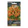 Flower seeds Lion Zev "Kimosi", orange, dwarf, 0.05 g