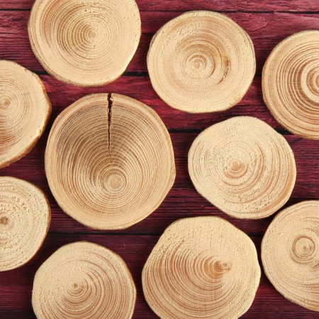 Saw a tree "spruce", round, d = 3-4 cm, h = 3.5 mm-1