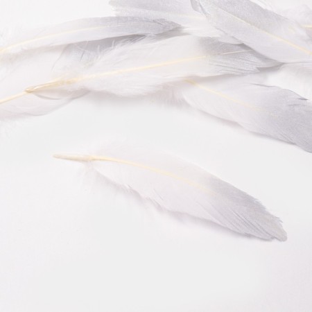 Feathers for decor, silver partial color, 13-15 cm 10 pcs-1