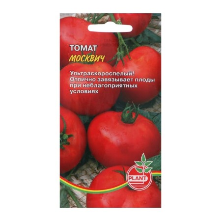 Seed Tomat "Moskvich", 25 pcs