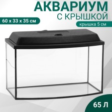 Aquarium 