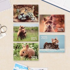 Pocket calendar 