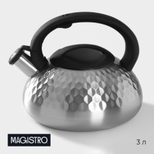 A kettle with a stainless steel whistle Magistro Glow, 3 L, Induction, Soft-Touch handle, silver color