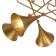 Ceiling chandelier Mantra Jazz, E27, 5x20W, 600 mm, color matte gold