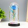 Nightlight "Blue Flower" LED from batteries 3haaa 11x11x22 cm