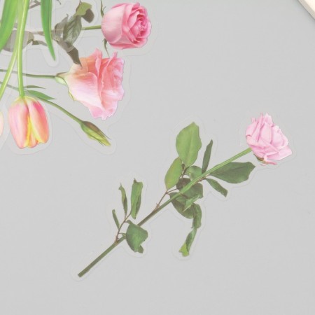 Plastic stickers "Flowers and quotes. Pink" set 12 pcs 8.5x21.5x0.2 cm-1