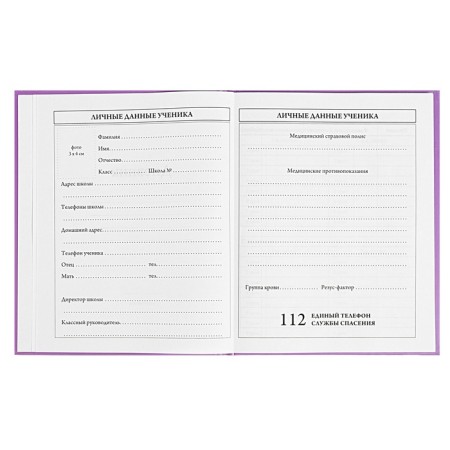 Diary 1-4 grade, 48 sheets of Kapibara, solid cover, matte lamination, fraud, glitter, glitter/m2-4