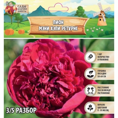 Peony "Many Happy Return", rr 3/5, 1 pc,-1