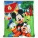 Back for shoes 420*330 mm, "Mickey, Donald and Guphi", Mickey Mouse and Friends