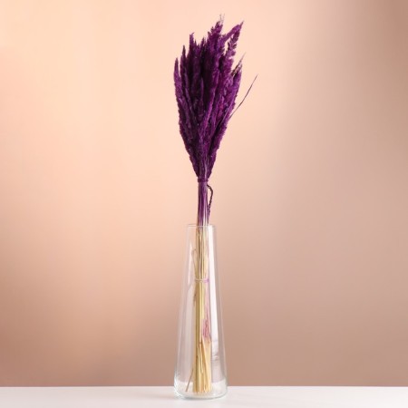 Set of dried flowers "Weinik", banch length 65 (+/- 6 cm), plum