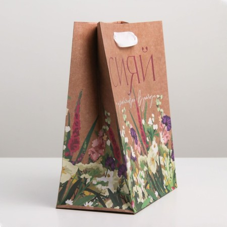 Package Gift Crafts Vertical, Packaging, “Shine”, MS 18 x 23 x 8 cm-1
