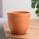 Flower pot "Azalia medium" 2 l, terracott