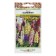 Flowers of Lupine "Bambini", mixture, 6 pcs